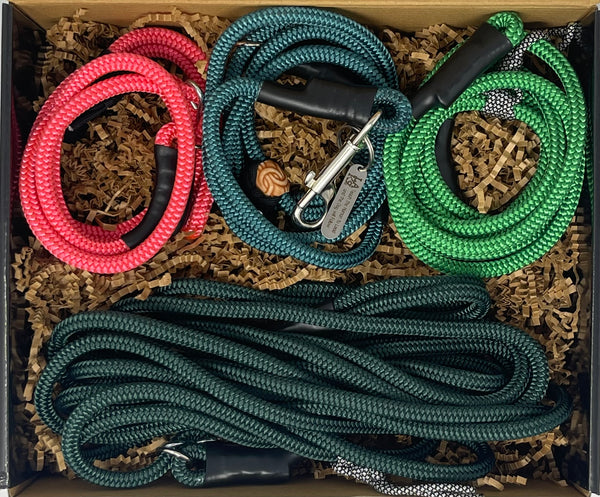 Brand new color option for 2023 Holiday 4 piece gift set With Promenade Leash in Teal