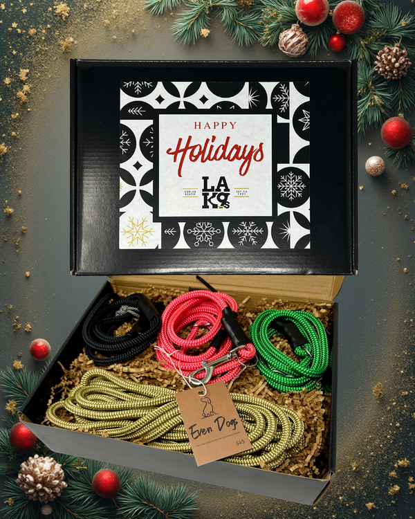 4 piece Holiday gift set With 6 Ft Promenade Leash in Pink