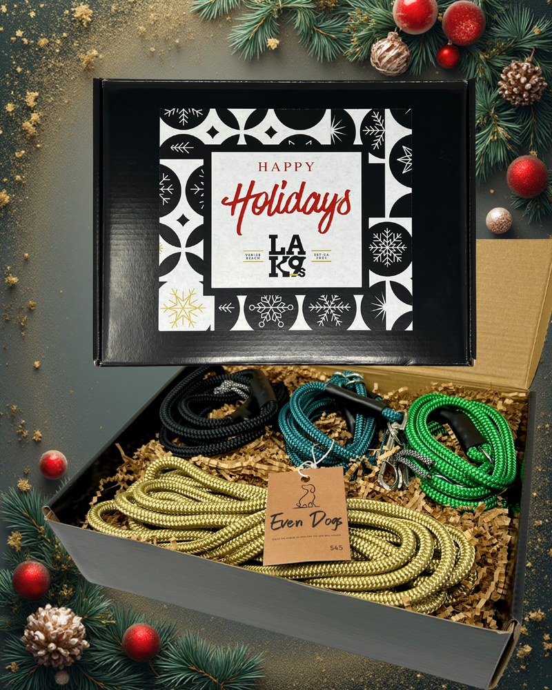 Holiday 4 piece gift set With 6 Ft Promenade Leash in Teal