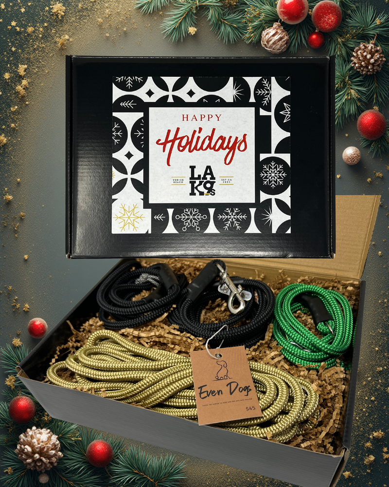 Holiday 4 piece gift set With 6 Ft Promenade Leash in Black
