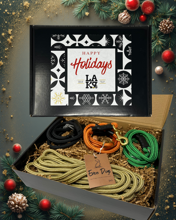 Holiday 4 piece gift set With 6 Ft Promenade Leash Orange/Brass