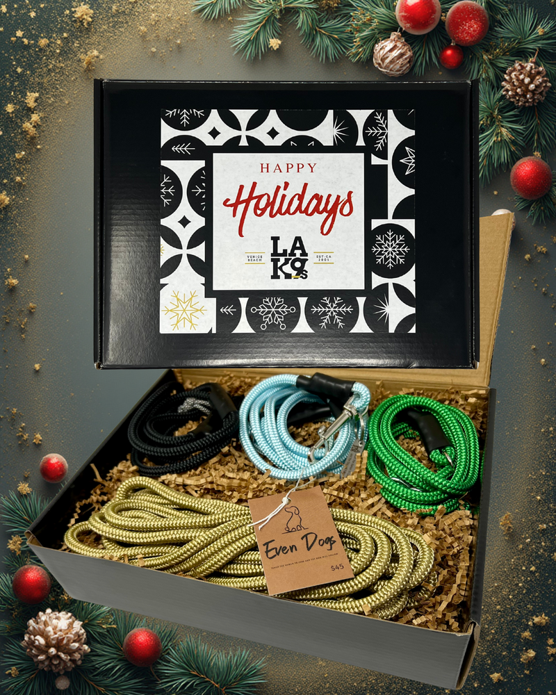 Holiday 4 piece gift set with 6Ft Promenade Leash in Sky Blue