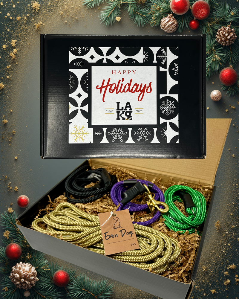 Holiday 4 piece gift set With 6 Ft Promenade Purple/Brass Leash