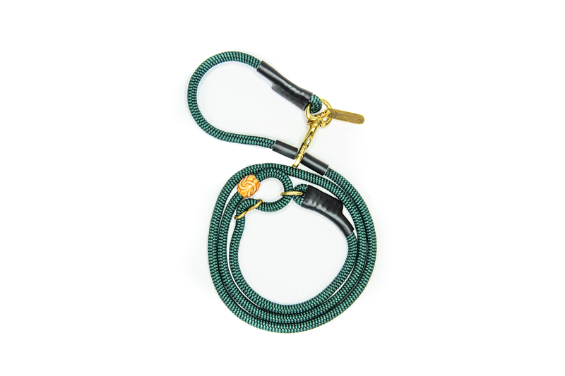 "The Promenade" Signature leash with luxurious brass accents