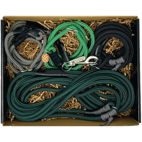 Holiday 4 piece gift set With Promenade Leash in Green