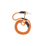Holiday 4 piece gift set With Promenade Leash in Orange